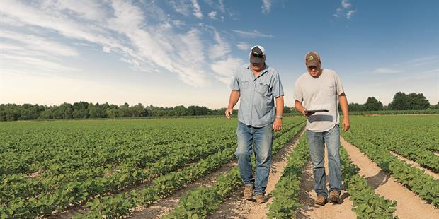 Field Solutions Image.